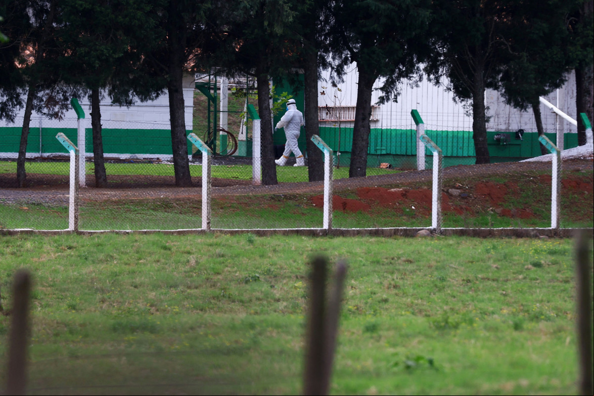Montenegro, Rio Grande do Sul
(SILVIO AVILA/AFP) Montenegro, Rio Grande do Sul
/SILVIO AVILA/AFP