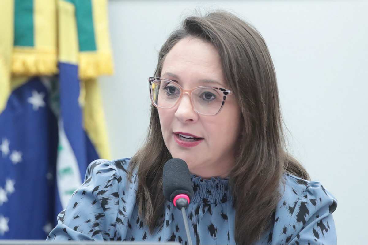 Presidente do Podemos, deputada federal Renata Abreu